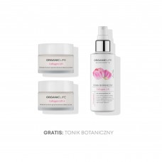 Zestaw przeciwzmarszczkowy Krem na dzień, Krem na noc + Tonik botaniczny 2+1 GRATIS Zestaw przeciwzmarszczkowy Krem na dzień, Krem na noc + Tonik botaniczny 2+1 GRATIS